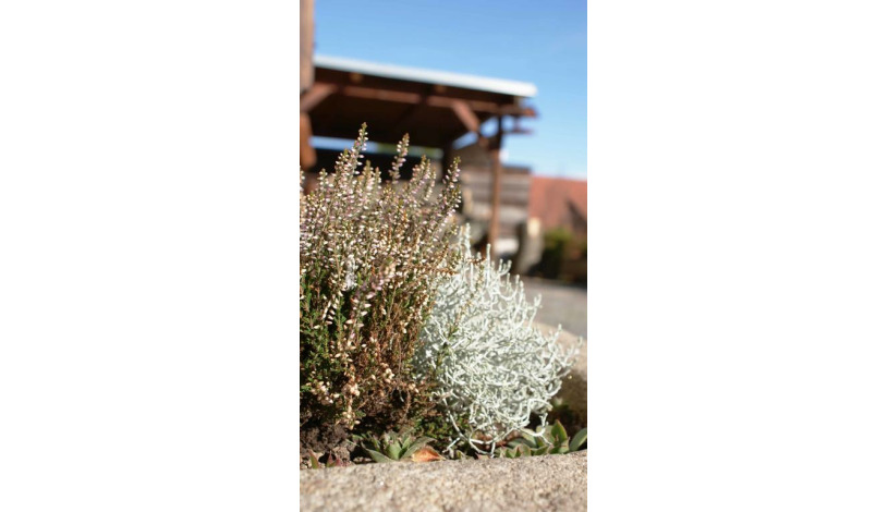 Bluegrass Club Český Krumlov